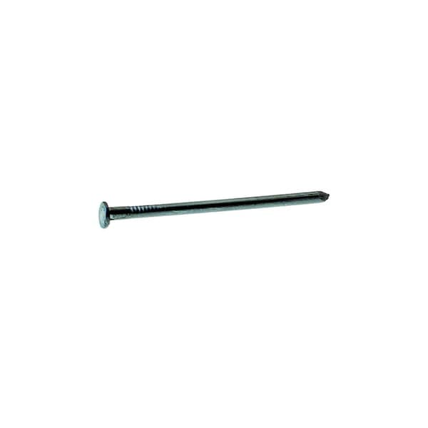 Common Nail, 4 in L, 20D, Steel, Bright Finish, 6 ga